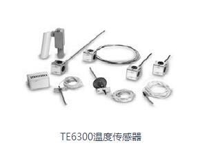 TE6300�ضȂ�����